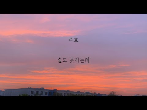 주호 - 술도 못하는데 [가사]