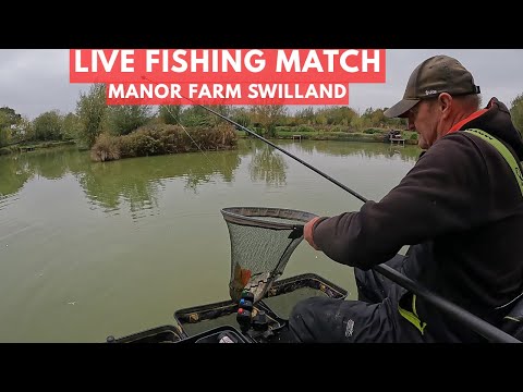 Pesca dal vivo Match Manor Farm Swilland ip6 9 libbre, #matchfishinguk