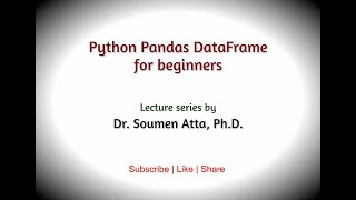 Python Pandas DataFrame for beginners