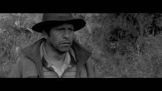 SAMICHAY Trailer Oficial c dialogos @2020