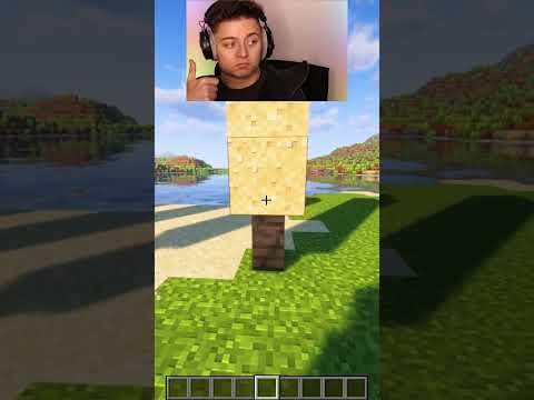 Mind-blowing Minecraft logic in 25 seconds! 😂 #shorts