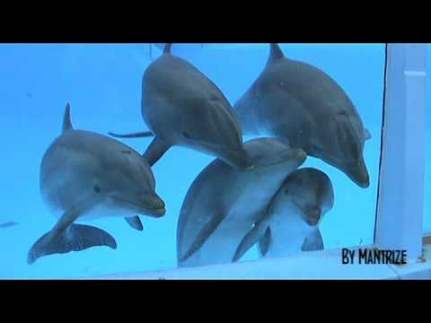 In a moment like this - Chanée & N'evergreen