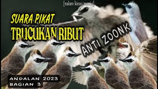 Download lagu Suara Pikat Burung Trucukan Ampuh Terbaru || Suara Pikat Paling Dicari (bagian 3) mp3 Download lagu Suara Pikat Burung Trucukan Ampuh Terbaru || Suara Pikat Paling Dicari (bagian 3) mp3
