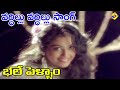 Vardillu Vardillu Video Song Bhale Pellam Telugu Movie Songs Jagapathi Babu Meena TVNXT Music