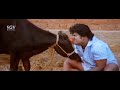 ಭೈರವ Kannada Old Movie Back To Back Super Comedy Scenes Jaggesh Nandini Singh Doddanna