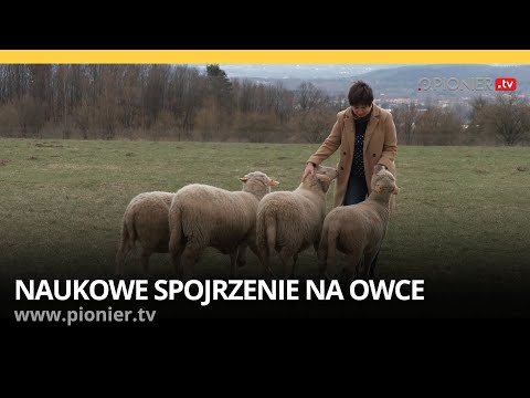 , title : 'Czas nauki: Naukowe spojrzenie na owce'