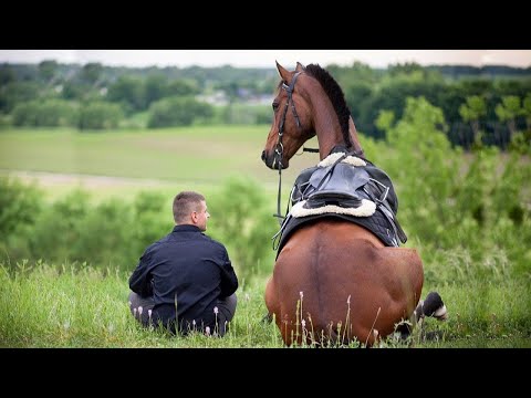 Les moments les plus drôles avec des chevaux