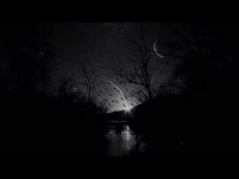 Snbat - Duy (ft. Burak Uslubaş & Dose) Lyric Video