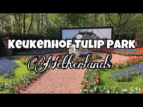 Keukenhof Tulip Park Netherlands 🇳🇱