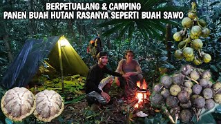 Download lagu Berpetualang & camping, panen buah-buahan liar di hutan, mengolah jamur dan sayuran liar | SURVIVAL mp3