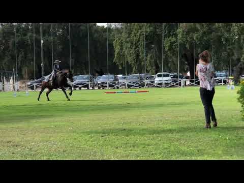 Prova de velocidade - Nicole e Endiabrado