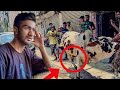 MERI COW KI QURBANI THE END 🥹 BAKRA EID VLOG DAY 2