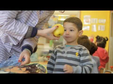 Vídeo Colegio Coves D'en Cimany