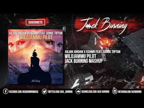 Julian Jordan x KSHMR feat. Sidnie Tipton - WildJammu Pilot (Jack Burning MASHUP)