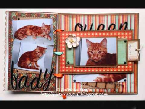 Little Photo Project 4-12-2011