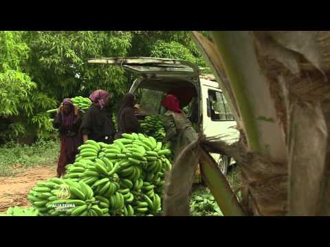 Al Jazeera Svijet - 02.08.2015.