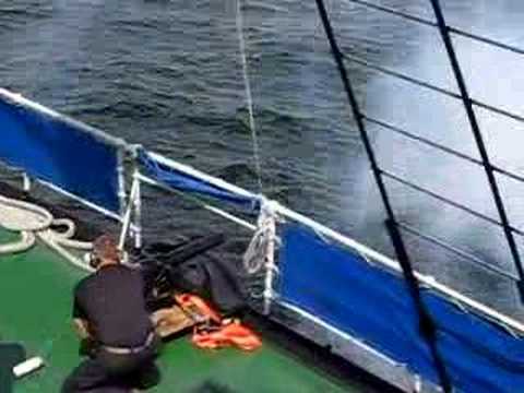 The Tall Ships Races 2007 31 July: Start Shoot for A class