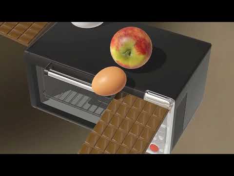 Egg Journey