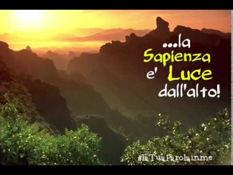 ...Sapienza, Luce che scende dall'alto !