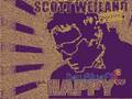Scott Wieland- Crash