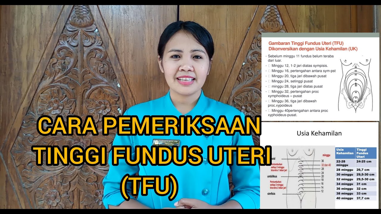Putar video PENGUKURAN TINGGI FUNDUS UTERI (TFU) SESUAI SOP sekarang PENGUKURAN TINGGI FUNDUS UTERI (TFU) SESUAI SOP