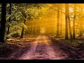 Il A Le Dernier Mot Sylvain Akouala Lyrics