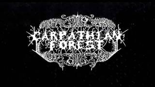 Carpathian Forest - A Forest