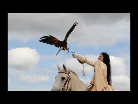 Der Herr von Falkenstein - Siebenpfeiffer