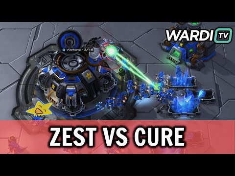 Zest vs Cure - Kung Fu Cup #31 FINALS! (PvT)