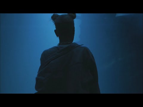 Dominique Tey - Heartstream (Official Video)