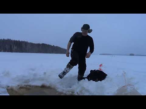 Verkon lasku menee totaalisesti pieleen.