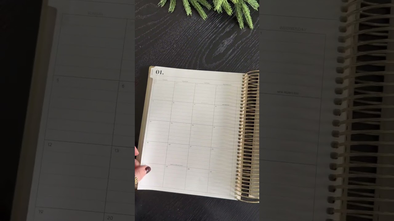 a little hack for anyone wanting to get the sold out daily planner! #dailyplanner #sophialeeplanner