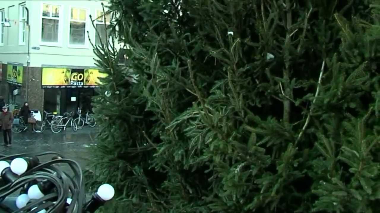 BredaNieuws - Kerstboom Grote Markt opgebouwd
