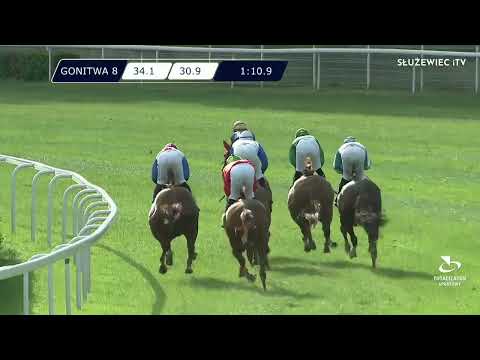 Nagroda Novary - (Dzień 18; Gonitwa 8)