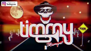Timmy Trumpet - Oracle (TNT REMIX) (Official Music Video)