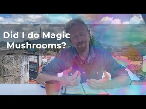 Did I Do Magic Mushrooms in Mexico? | San Jose del Pacifico