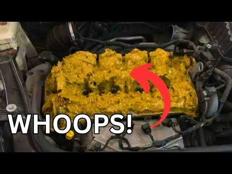 This Didn't End Well 🤔