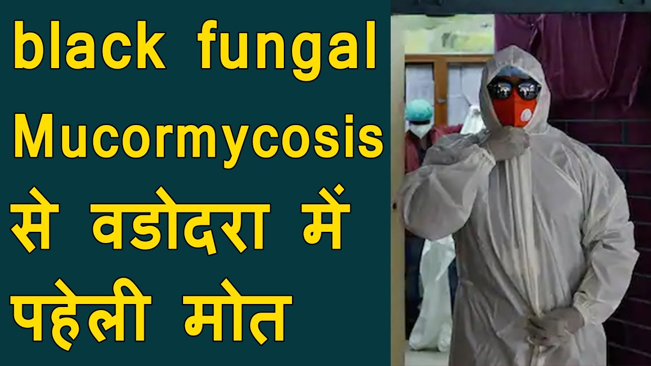 First Death from black fungal Mucormycosis in vadodara | Death rate of black fungal in Gujarat