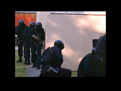 Police Quest: SWAT & Commendations Themes