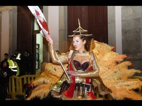 Tribal - Desfile Nocturno Escolas de Samba Estarreja 2014