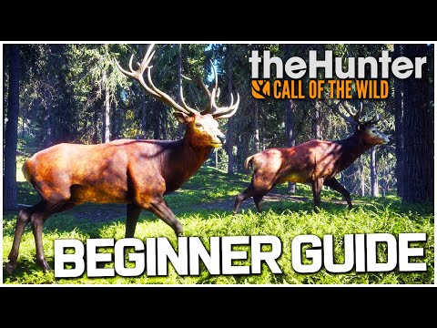 The Hunter Call of the Wild Tips and Tricks for Beginners!