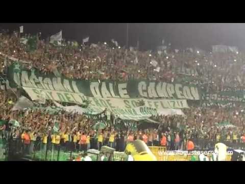 "Nacional Campeón 2014-1 //  Liga Postobon" Barra: Los del Sur &bull; Club: Atlético Nacional