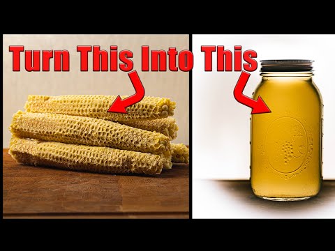 Corn Stock: Turn Leftover Corn Cobs Into Liquid Gold