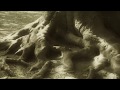 Dead Can Dance - 'Windfall'