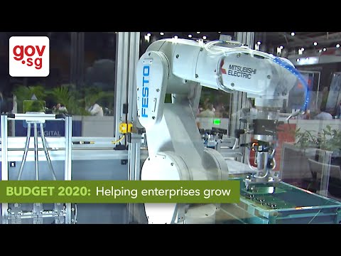 2020年予算。企業の成長を支援する (Budget 2020: Helping enterprises grow)