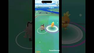 アチャモ色違い✨🐣 #pokemongo #pokemon #ポケgo #ポケモン