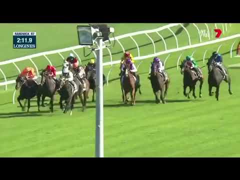 Quick Thinker | Royal Randwick