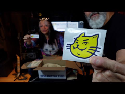 The Better Cat ✔️ #thebettercat #ancaundossy #ancagraterol #ossypfeiffer