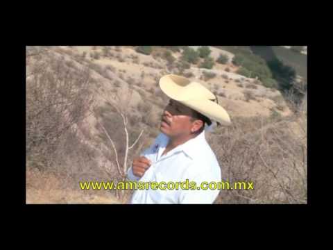 Los Armadillos de la Sierra - Elenita (Video Oficial)