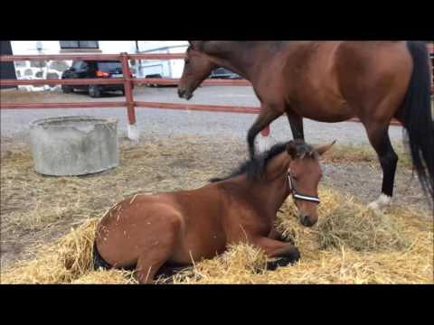 161009 Nirma resting